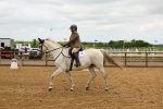 026A9768