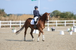 SBM_020210