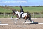 BPP_9196