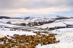 Shutlingsloe from the Cat and Fiddle (1)