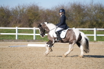 SBM_004209