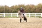 SBM_001912