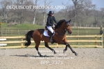 BPP_7371