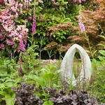 Garden photography by Ross Phillips of Forest Eyes Photography