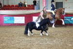 SBM_15243