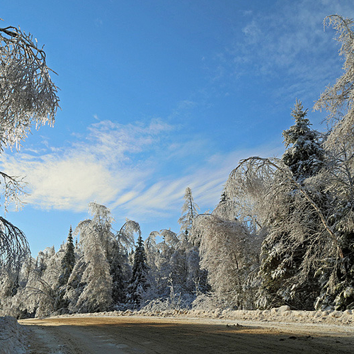 Every inch of a country road on New Brunswick's Kingston Peninsula appears to be sealed in an icy glaze.