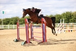 SBM_003609