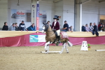 SBM_10491