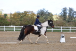 SBM_002245