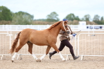 SBM_05995