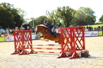 SBM_16839