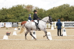 SBM_004896
