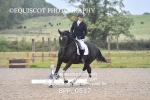 BPP_0517