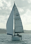 081009 GBR7079T TOSARA 8CDX997