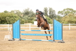 SBM_023680