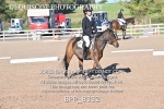 BPP_8332
