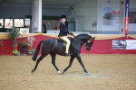SBM_12534