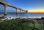 Bembridge Morn'
