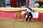 SBM_18439