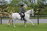 SIAL7386