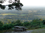 Leith Hill - 16