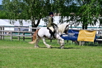 SBM_19365