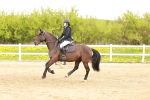SBM_004155