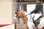 BPP_9054