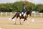 SBM_000377