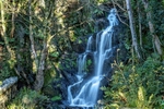 Quarry Falls