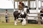 SBM_06086