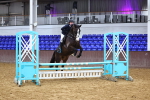 SBM_001684