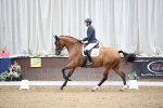 SBM_003365