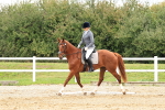 SBM_001332