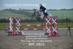 BPP_0803