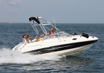 090808 CHAPARRAL IMG_5165