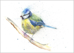 Limited print BLUE TIT watercolour 317