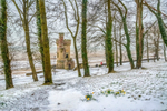 z3185 Spring Snow at Appley