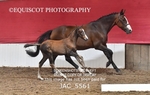 JAC_5561