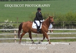 BPP_6066