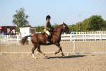 SBM_03133
