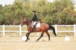 SBM_002866