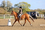 SBM_000420