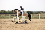SBM_003241