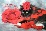 Happy Valentines day!