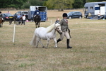 WJ6_5937