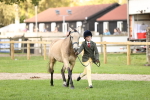 S5 - Novice & Newcomers In Hand portfolio