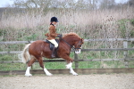 SBM_007198