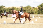 SBM_009341