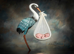 Stork boy